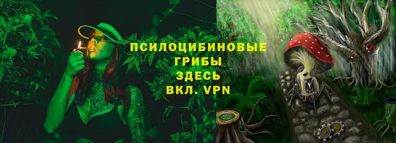 Галлюциногенные грибы Magic Shrooms  купить закладку  Нарткала 